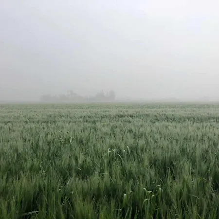 Летний дом Casa Luxury 