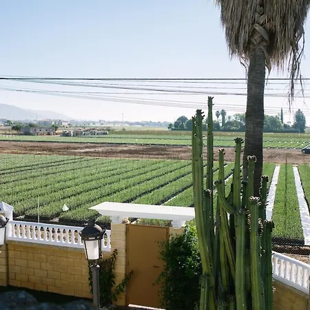 El Olivo De Casa rural