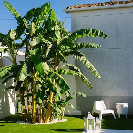 El Olivo De Casa rural