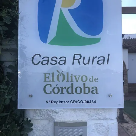El Olivo De *