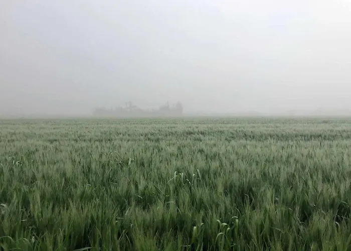 乡村民宿 Casa Luxury 