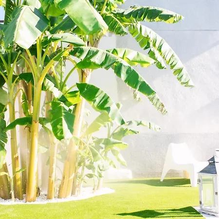 Casa Luxury 